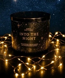 Into the Night Bath and Body Works Candle | eBay