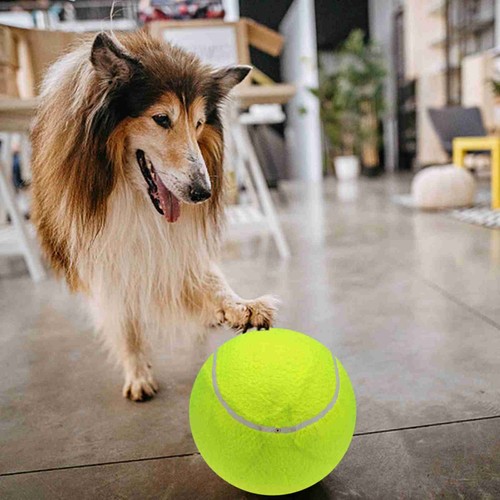 9 5 ''übergroße Riesige Tennisbälle Aufblasbarer Tennisball Mit Pumpe Hundes Pie - Bild 15 von 24