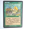 Abundance NM Urza's Saga Chinese Rare 1998 229/350 MTG FBB