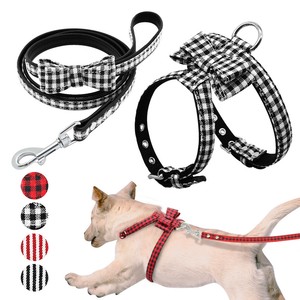 cool things for your dog