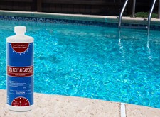 Algaecide 60 Plus Prevent Algae Swimming Pool Chemical - 32 oz Choose Quantity 