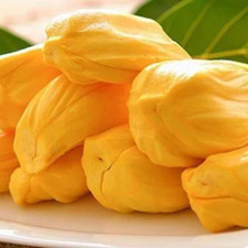 ORGANIC DRIED JACKFRUIT Slices NGMO Chewy Snack/Unsweetened/Koshe