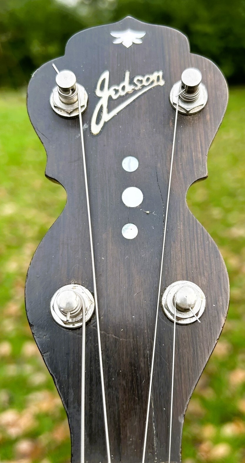 Picture 4 of 12