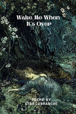 Wake Me When It's Over by Roderick Bates Paperback Book