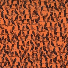 Michael Miller - Boo-Tiful - The Raven - Orange, Fabric by the Yard