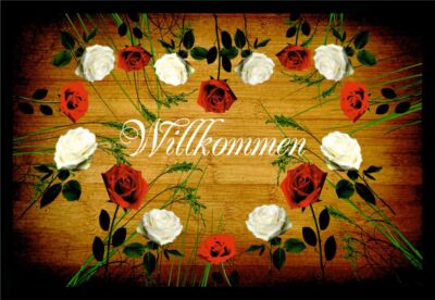 Fußmatte Schmutzfangmatte rutschfest Willkommen Rosen F756