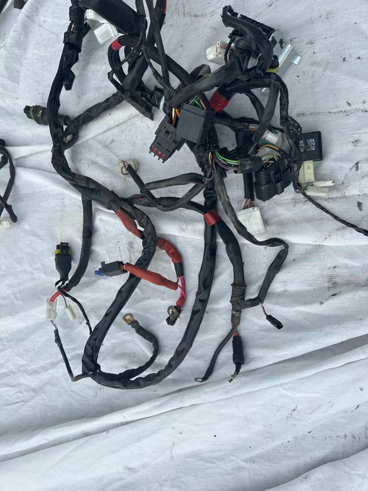 Piaggio Vespa Primavera Spring 50 2015 arnés de cableado principal Foto 3 de 4