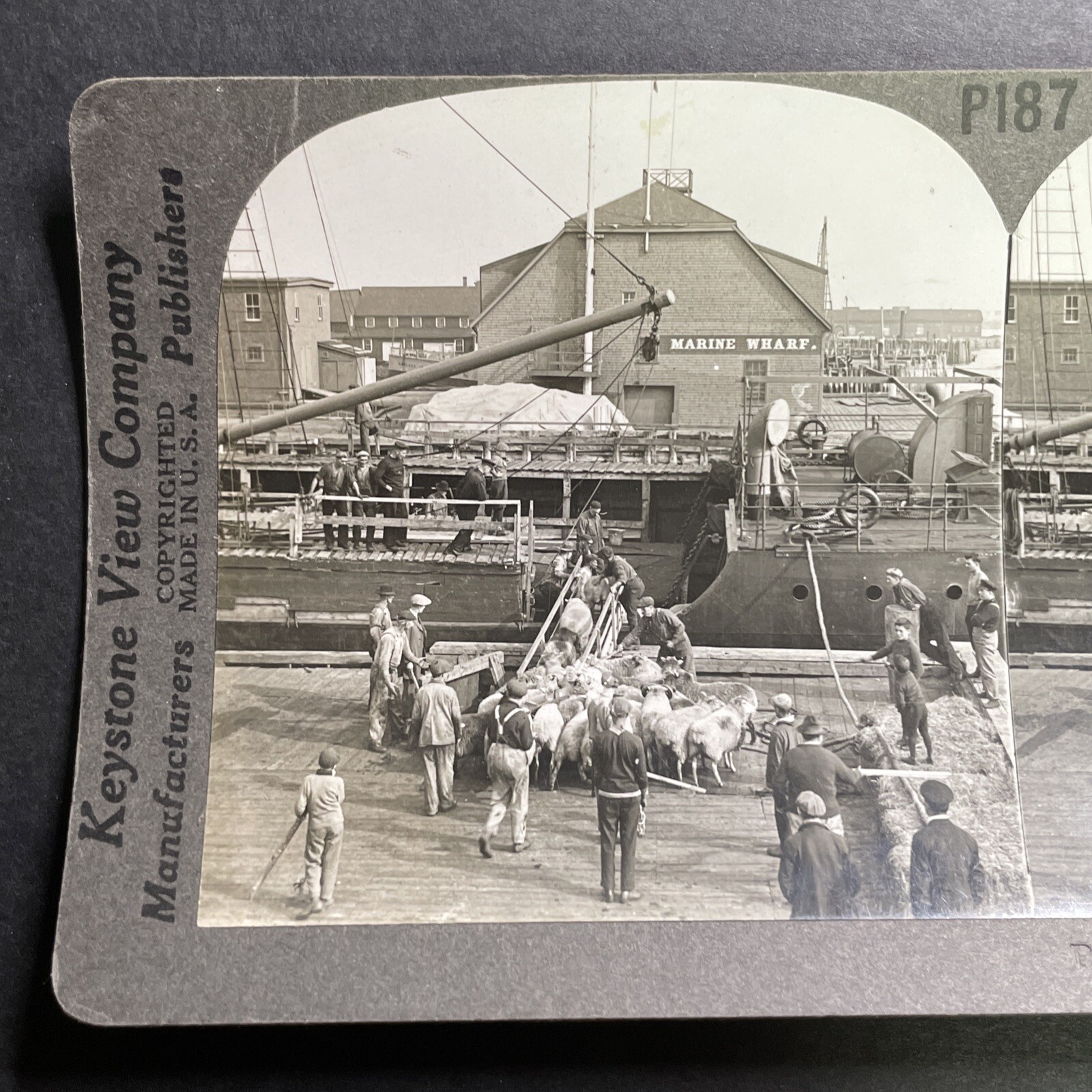 Antique 1910s Marine Wharf Charlottetown PEI Stereoview Photo Card P1448 eBay