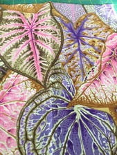 Kaffe Fassett Collective, Caladiums By Philip Jacobs.