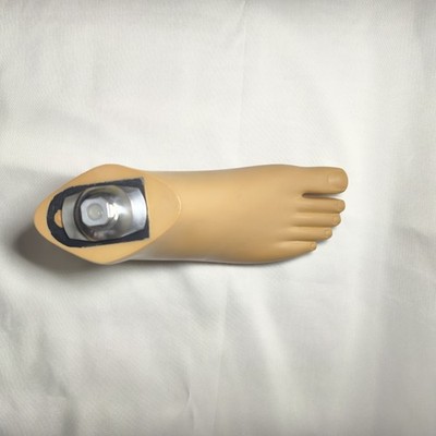 Waterproof Dynamic Prosthetic Foot Right 25cm with Stainless Steel Adapter