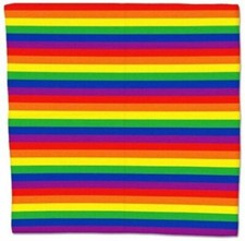 RAINBOW STRIPES BANDANNA Head-wear Pride LGBT Hair Band/Scarf /Neck /Wrist