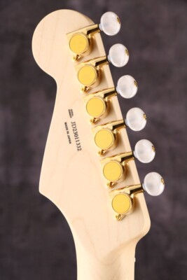 Fender Japan Exclusive Richie Kotzen Stratocaster
