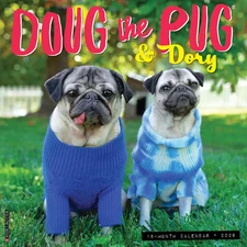 Willow Creek Press,  Doug the Pug 2026 Wall Calendar, 12'' X 12'', 18-Month Cale