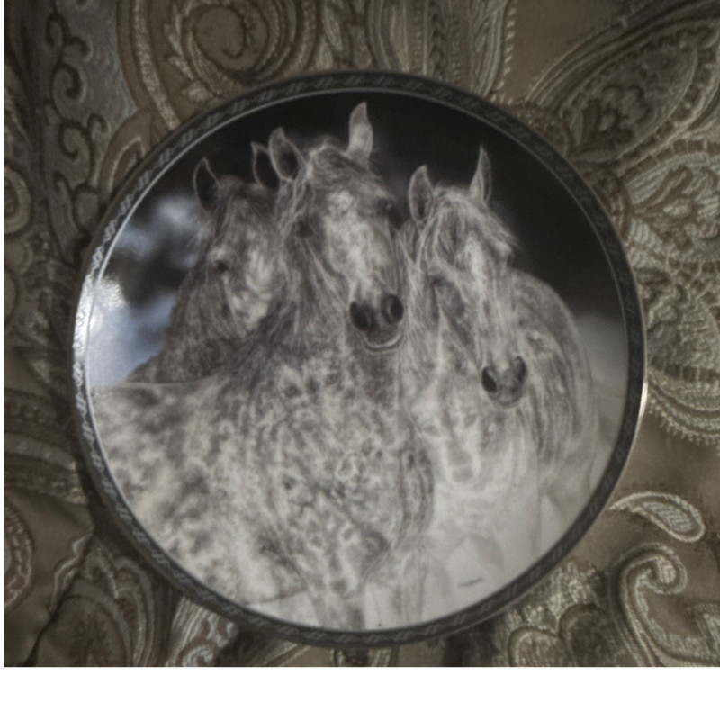 Judy Larson The Vanishing Horse Porcelain Collector Plate Free Spirits