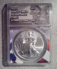 2021 Type 1 1 oz. .999 American Eagle ANACS MS70 (366)