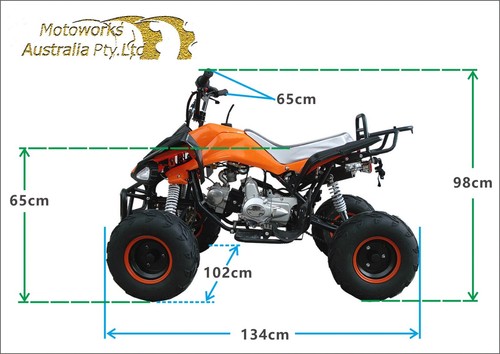 125CC SPORTS SEMI AUTO ATV QUAD Dirt Bike Gokart 4 Wheeler Buggy kids green - Picture 2 of 13