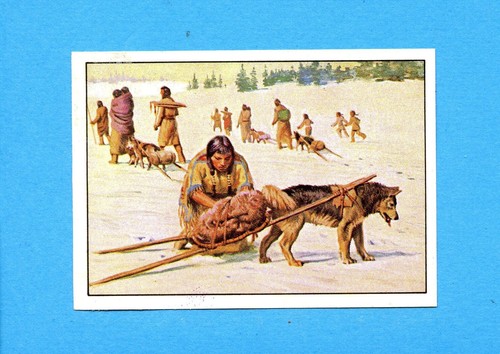 WEST - Panini 1976 -Figurina-Sticker- Scegli-Choose A SCELTA (1-200) - Bild 15 von 76