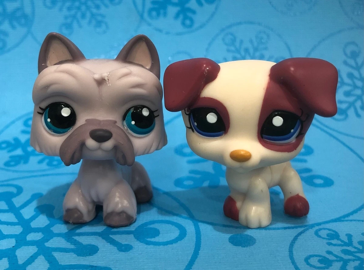 Lps Littlest Pet Shop #1200 #1201 | eBay