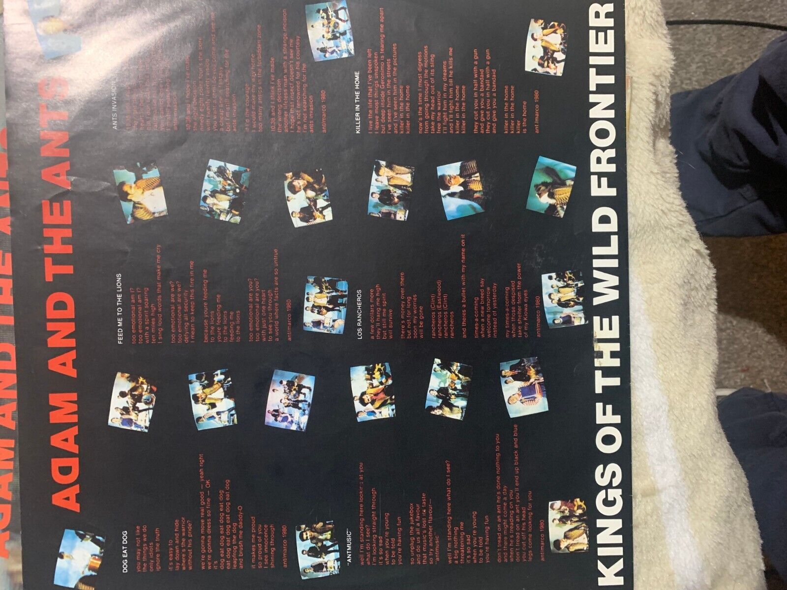 Picture 20 of 21