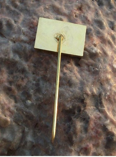 CD Czech Railway System Ceske Drahy Train Network Modern Logo Pin Badge - Picture 2 of 2