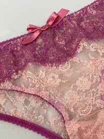 Agent Provocateur Francoise Pink Lace Brief Large New