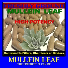 MULLEIN LEAF Fresh  Immune Impressive Benefits 100 Veg Capsules No Additives 