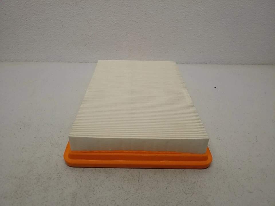 Filtro de aire premium P2551 FVP RELIAGUARD filtro de aire FVP P2551 Foto 3 de 3