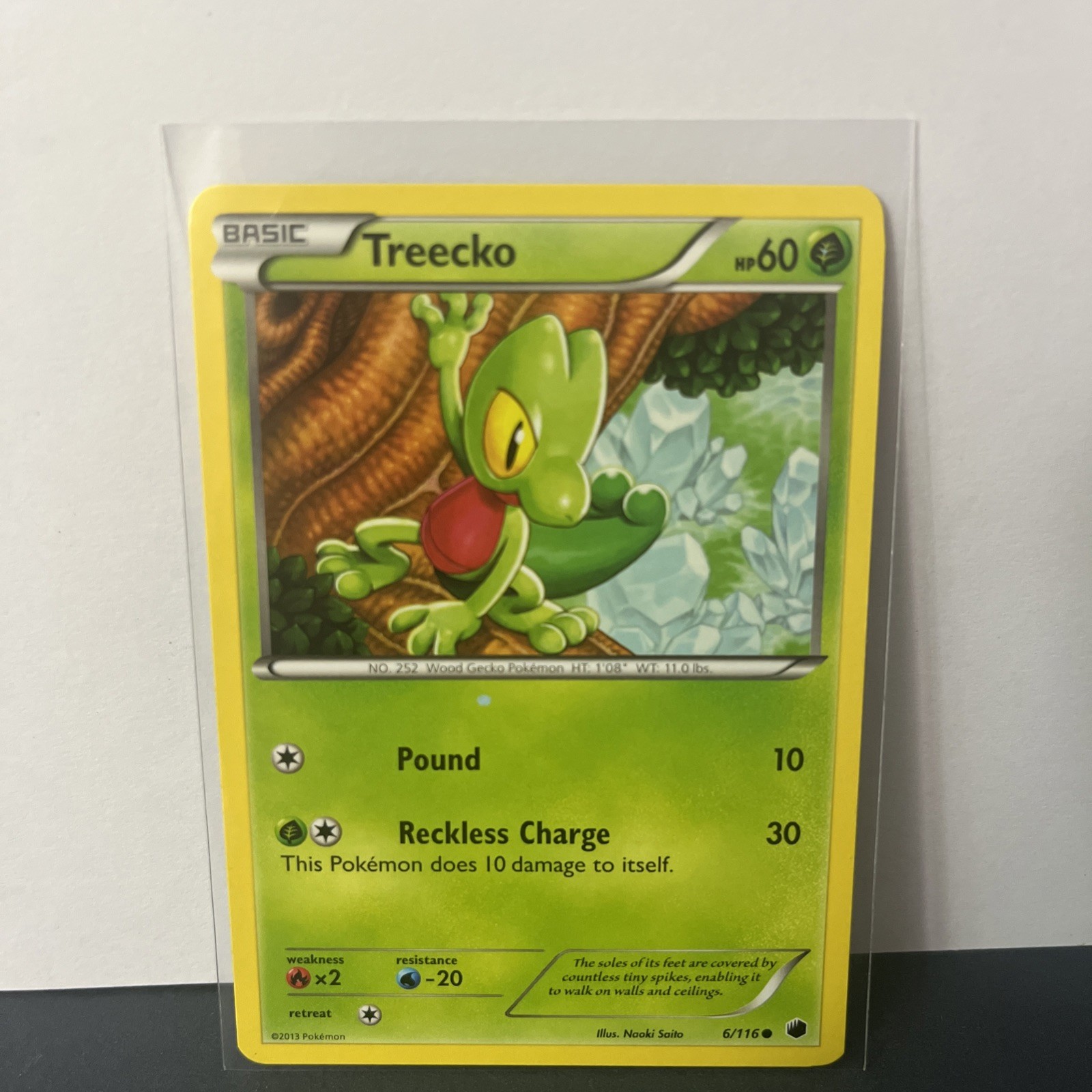 Treecko 6/116 Plasma Freeze Regular