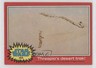 1977 Topps Star Wars UK Edition C-3PO Threepio's desert trek