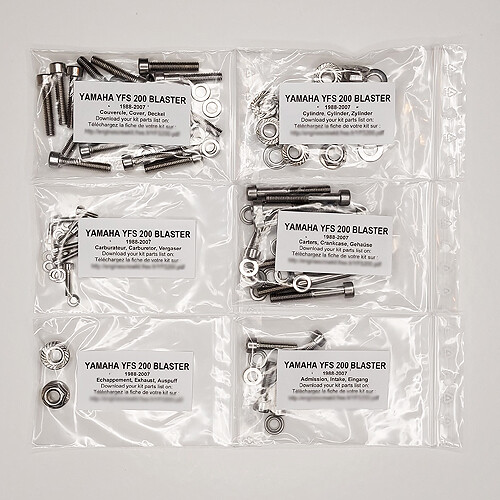 Kit vis allen inox YFS 200 Blaster pour moteur Yamaha résistant à la corrosion