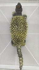 Anguirus BANDAI