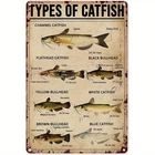 Maikeway Vintage Tin Metal Signs Home Décor Types of Catfish Knowledge Poster Al