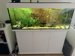 Juwel Rio240 L Aquarium Komplett