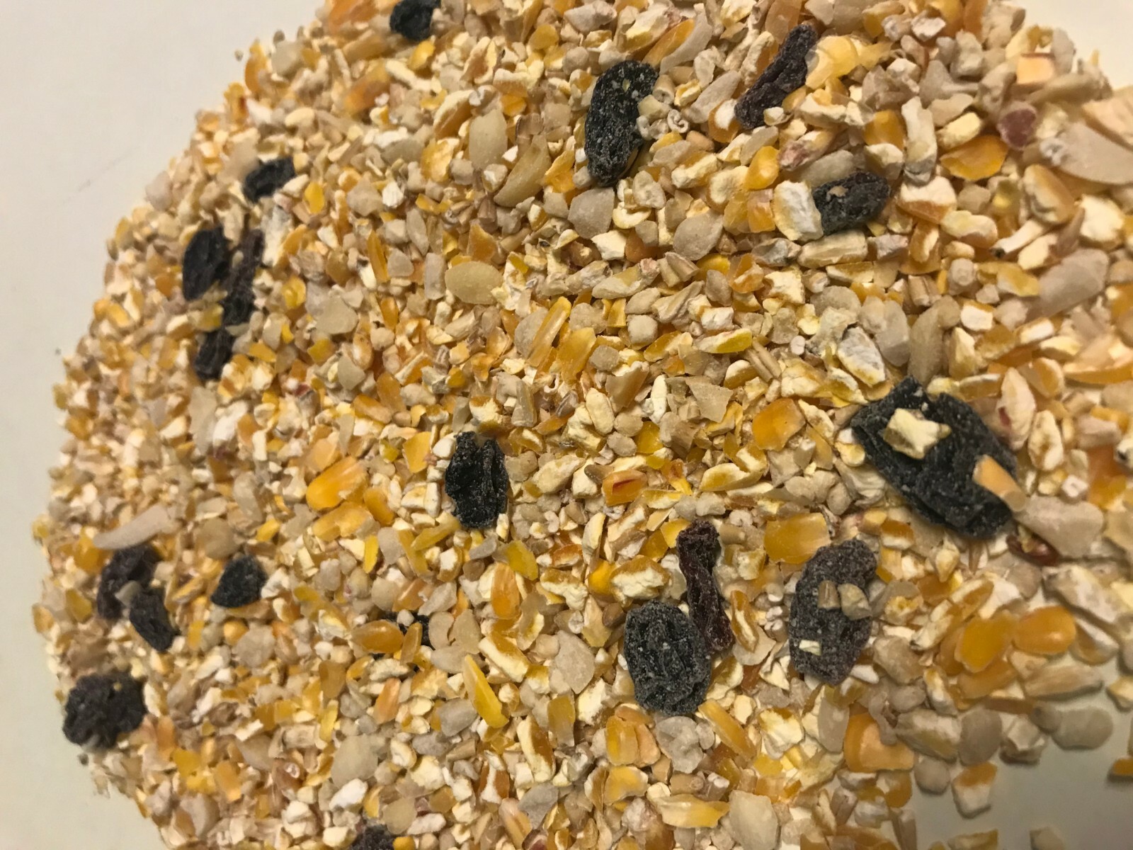 Non Growing Wild bird seed eBay