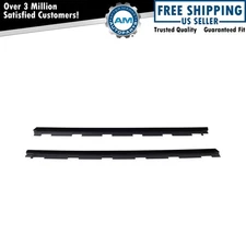 Door Window Belt Weatherstrip Kit Fits 99-00 Cadillac 88-02 Chevrolet GMC