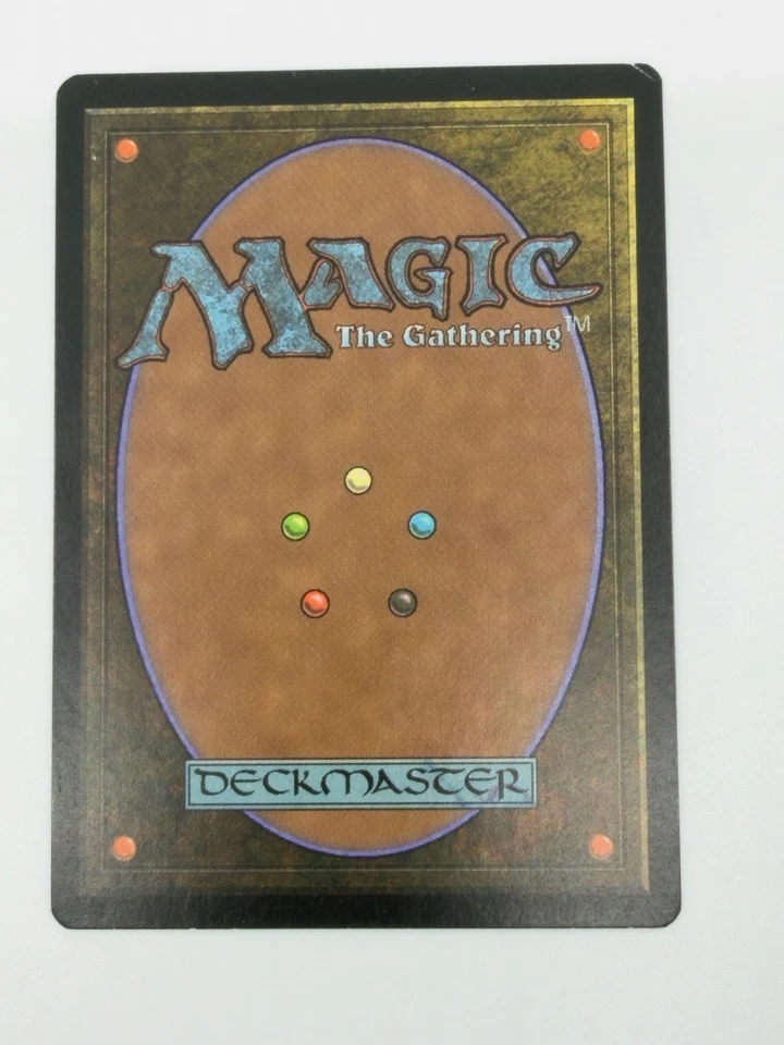 MTG Guru Land GURU SWAMP VG / RARE -MANA MANSION - Image 2 of 4