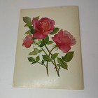 Bild 9 von 9
