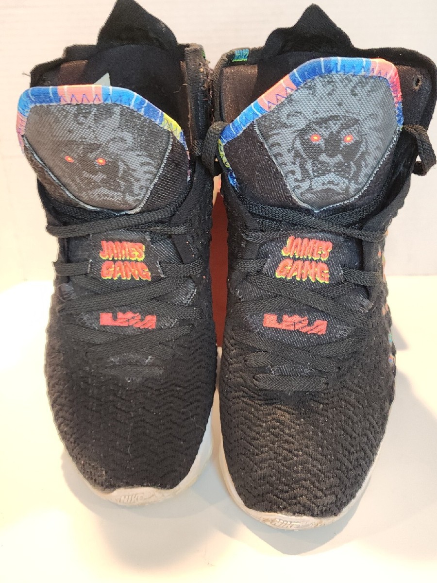 C0 NIKE LEBRON 17th Signature James Gang Knitposite Shoes  display picture 1