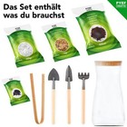 Bild 5 von 8