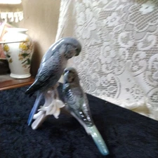 KARL ENS GERMAN PAIR OF PORCELAIN BUDGERIGARS POST 1945