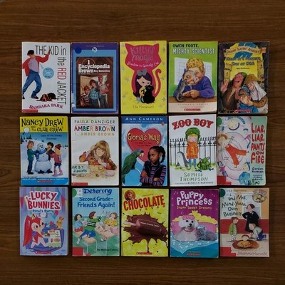 Lot of 15 Chapter Books for 3rd Grade Classroom Boys Girls Reading Homeschool