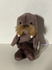 1996 Ty Beanie Baby Jolly the Walrus 12.02.1996 P.V.C. Pellets Nwt