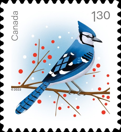 BLUE JAY = CHRISTMAS BIRDS = USA rate LOWER INSCRIPTION Pair from BK.Canada 2022 - Imagen 2 de 2