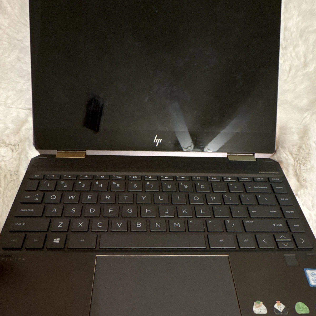HP Spectre X360 13-13.9 in Screen PC 256 GB SSD Capacity Laptops