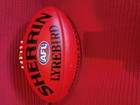 Sherrin Lyrebird leather football