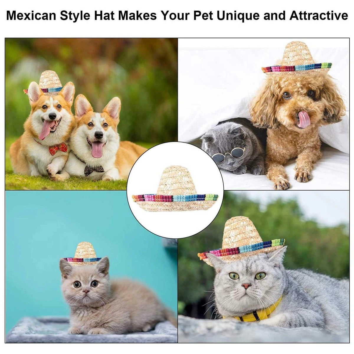 cat sun hat