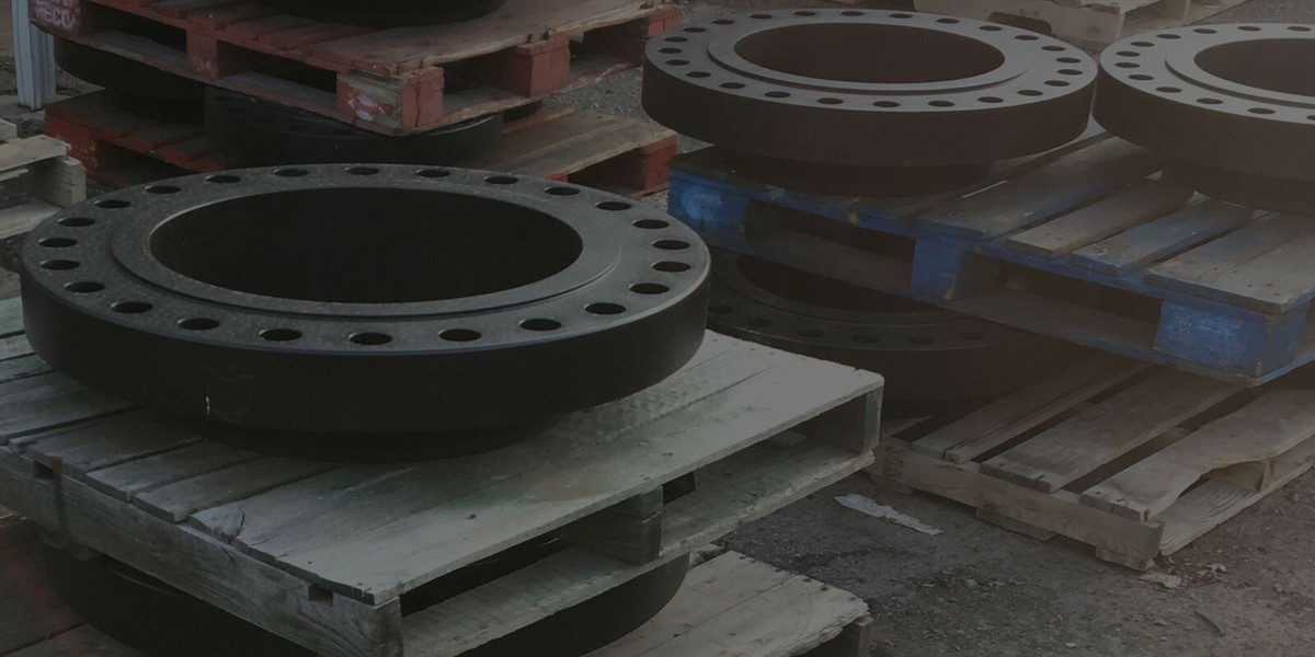 Weld Neck Flange 24
