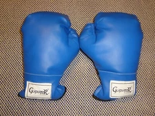 Proforce Gladiator 8 oz. Training Bag Gloves Blue & Black