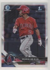 2018 Bowman Draft Chrome Drevian Williams-Nelson #BDC-77 0c6