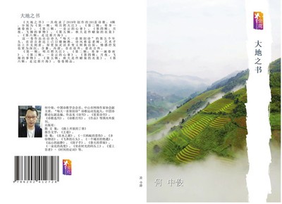Zhong Jun He | da di zhi shu | Taschenbuch | Chinesisch (2020) | ¿¿¿¿¿¿¿